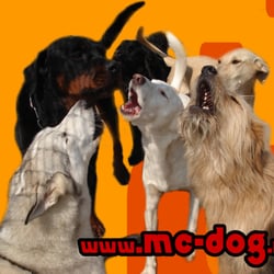 mc-dog Pension