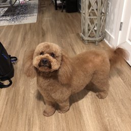 He loves his cut!