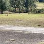 Photo of Overton Comm Golf Course