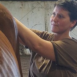 Connected Bodywork - Equine Bodywork