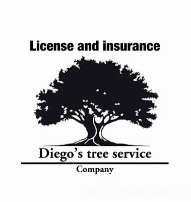 Emergency Tree Service - Call us today for all your tree needs especially during emergencies Emergency Tree Service - Call us today for all your tree needs especially during emergencies