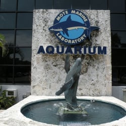 Mote Marine Laboratory & Aquarium