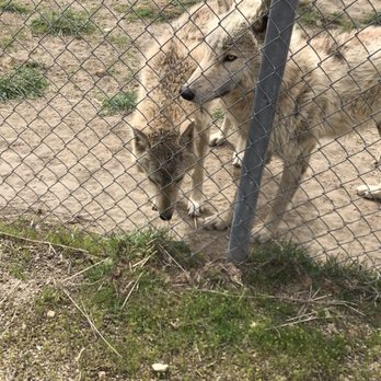Animal Ark - Zoos Near Me - Reno, Nevada Animal Ark - Zoos Near Me - Reno, Nevada