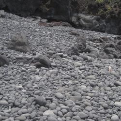 Pebble Beach