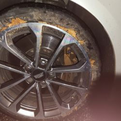 Champs Performance Plus - Hit a downed tree at zero dark thirty in the morning.