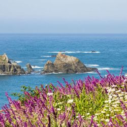 Terra Mar Kitchen - Enjoy ocean views and incredible sunsets from Terra Mar Kitchen at SCP Mendocino Coast Lodge.