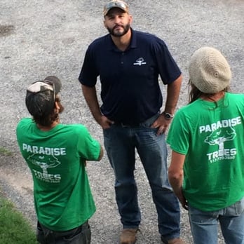Paradise Trees - Tree Services Near Me - Pflugerville, Texas Paradise Trees - Tree Services Near Me - Pflugerville, Texas