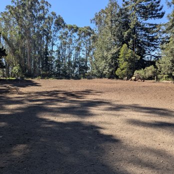 Joaquin Miller Dog Park - Ground is worn down wood dust, soft but not really safe for dogs to breathe in. - Dog Parks Near Me - Oakland, California