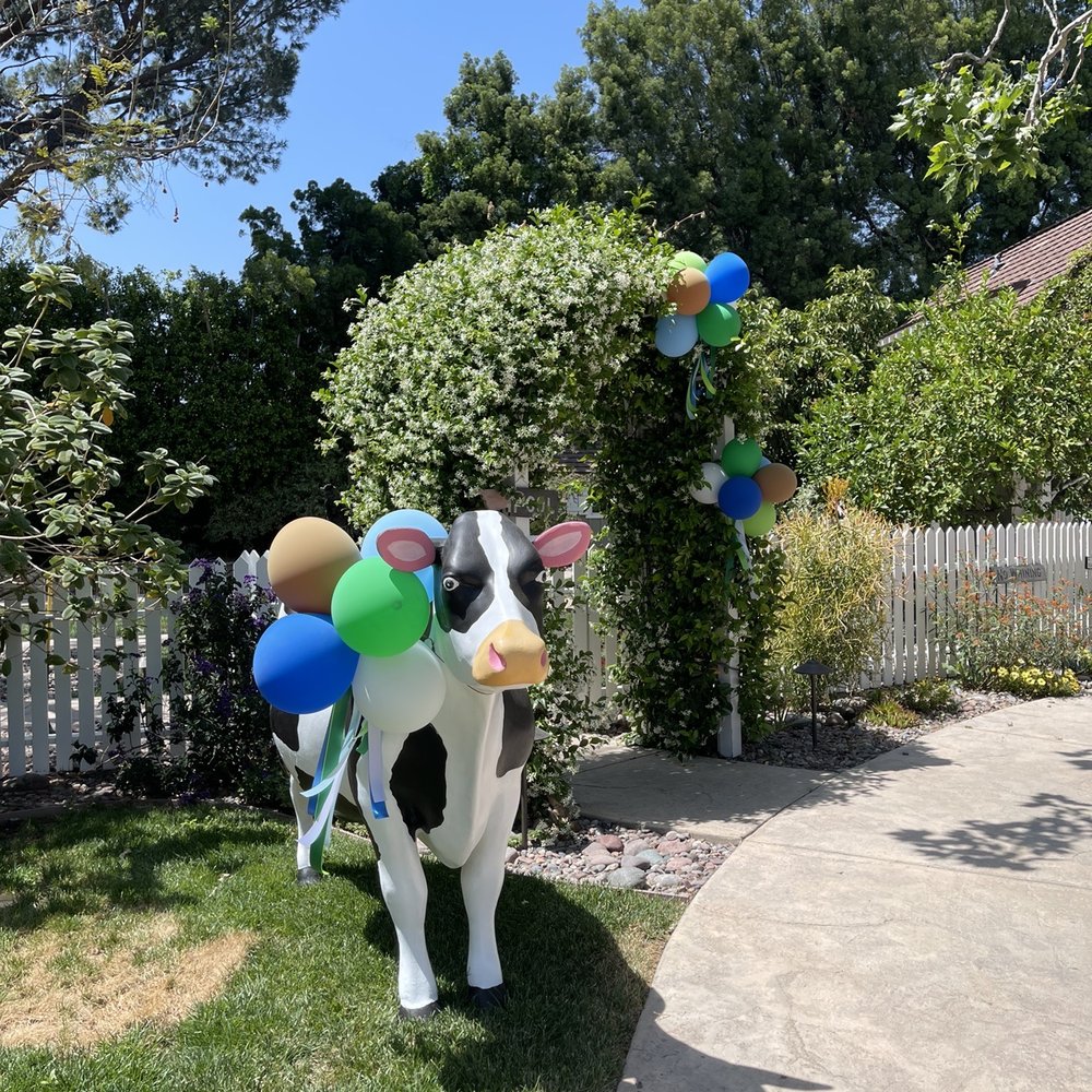 PoP! Balloons - Touches for a baby shower. - Balloon Services Near Me PoP! Balloons - Touches for a baby shower. - Balloon Services Near Me