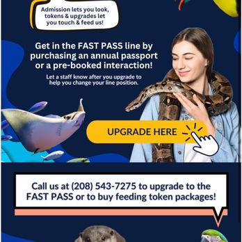 SeaQuest - Folsom - Aquariums Near Me - Folsom, California SeaQuest - Folsom - Aquariums Near Me - Folsom, California