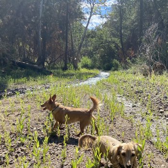 Ponderosa Campground - Hiking Near Me - Big Sur, California Ponderosa Campground - Hiking Near Me - Big Sur, California
