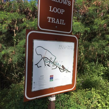 Bellows AFB Campgrounds - Bellows loop trail.  Short but fun and all flat grounds. - Campgrounds Near Me - Waimanalo, Hawaii