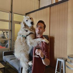 Latta Wines - Pup friendly wine bar