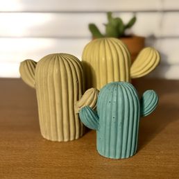 Cactus