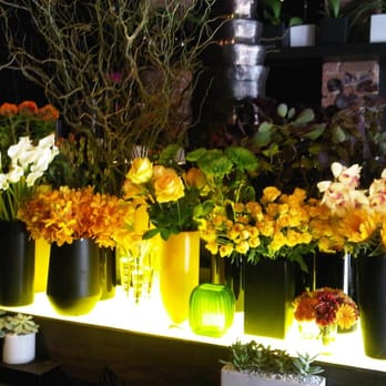 Ovando Botanical Gallery - Florists Near Me - New York, New York Ovando Botanical Gallery - Florists Near Me - New York, New York