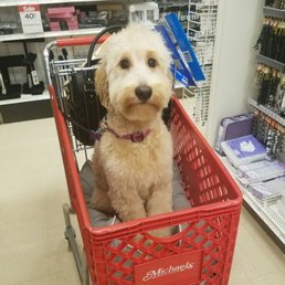 Nothing better than shopping for art supplies with your best friend.