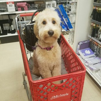 Michaels - Nothing better than shopping for art supplies with your best friend. - Arts & Crafts Near Me - Gainesville, Virginia