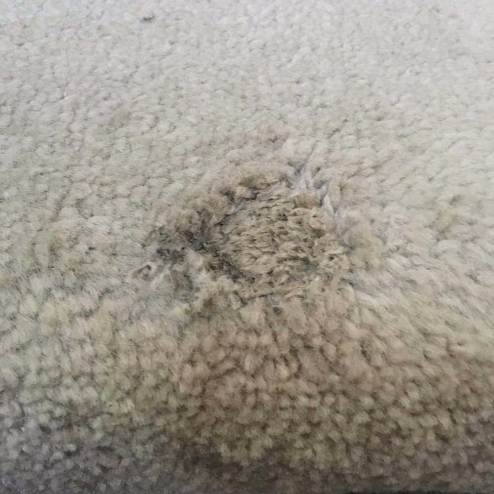 Maids2Rescue - Hole burned in carpet - Home Cleaning Near Me Maids2Rescue - Hole burned in carpet - Home Cleaning Near Me