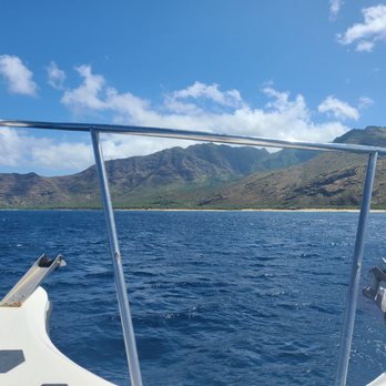 Wild Side Specialty Tours - Snorkeling Near Me - Waianae, Hawaii Wild Side Specialty Tours - Snorkeling Near Me - Waianae, Hawaii