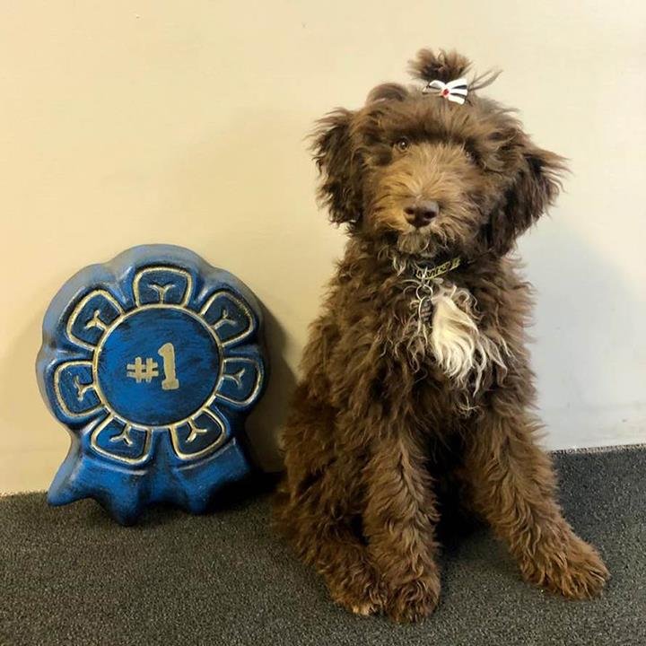 Slide of 1st Class Plumbing, Heating & A/C