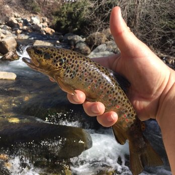 Fish Tech Outfitters - Fishing Near Me - Salt Lake City, Utah Fish Tech Outfitters - Fishing Near Me - Salt Lake City, Utah