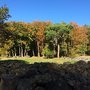 Photo of La Fageda d'en Jordà