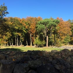 La Fageda d'en Jordà