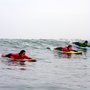 Photo of FreeSport