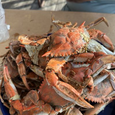 Mike's Crab House North by null