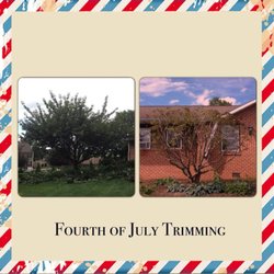 Lanco Tree Services