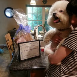 Bailey won 'Best Groomed' at Ambler Dog Daze of Summer 2014. Grooming by Kasey at Robbye's Bailey won 'Best Groomed' at Ambler Dog Daze of Summer 2014. Grooming by Kasey at Robbye's