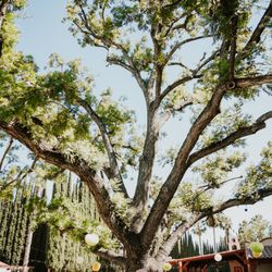 Rancho Cordillera Del Norte - Photography by Megan Abbott Photography