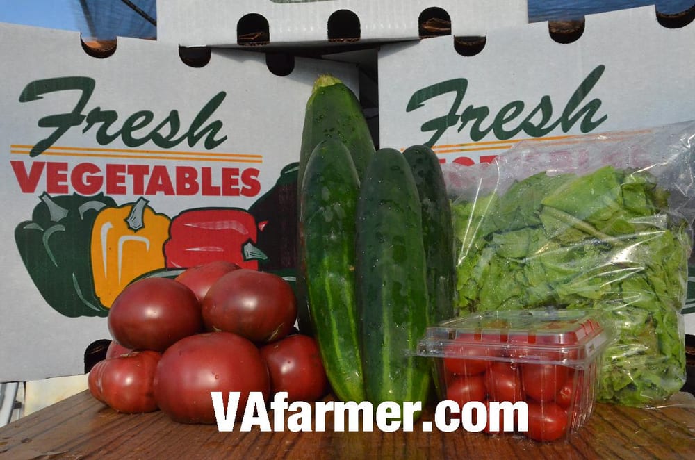 Virginia Vegetable Company Logo