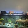 Becky's Aquarium Works
