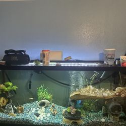 Becky's Aquarium Works
