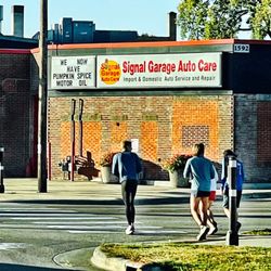Signal Garage - We Now Have Pumpkin Spice Motor Oil