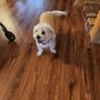 Photo of Kragness Animal Hospital