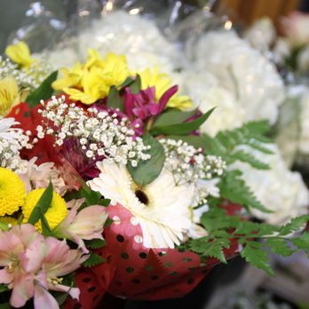 Petals 'N Pots - Florists Near Me - Waterloo, Ontario Petals 'N Pots - Florists Near Me - Waterloo, Ontario