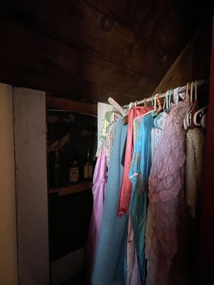 Dolly's House by null