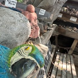 Volcanic Rock & "Petrified Wood". Volcanic Rock & "Petrified Wood".