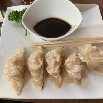 Lotus - Dumplings - Asian Fusion Near Me - Halmstad, N