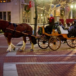 Blue Ribbon Carriages - Start a new holiday tradition with Blue Ribbon Carriage Co.!