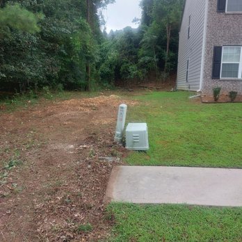 Cheap & Great Tree Services - Tree Services Near Me - Acworth, Georgia Cheap & Great Tree Services - Tree Services Near Me - Acworth, Georgia