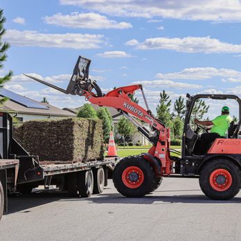 Landscaping Sod & Beyond - Sod Replacement - Landscaping Near Me - Ocala, Florida Landscaping Sod & Beyond - Sod Replacement - Landscaping Near Me - Ocala, Florida