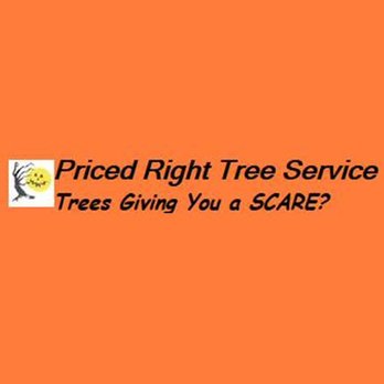 Priced Right Tree Service - Tree Services Near Me - Deepwater, Missouri