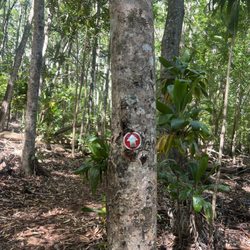 Makawao Forest Reserve - Signs/arrows on the trail, super helpful