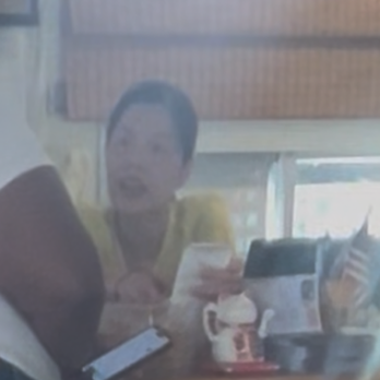 Oriental Star - Scrambling to find her evidence - Chinese Near Me - Fayetteville, New York Oriental Star - Scrambling to find her evidence - Chinese Near Me - Fayetteville, New York