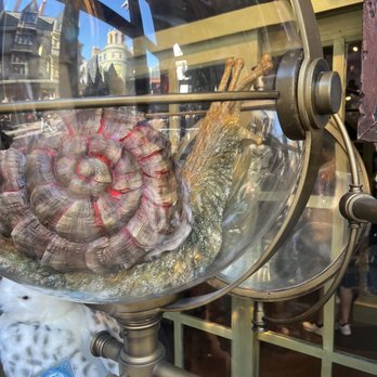 Magical Menagerie - Toy Stores Near Me - Orlando, Florida Magical Menagerie - Toy Stores Near Me - Orlando, Florida