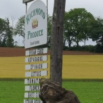 Richmond Produce - a large brown bear sitting in front of a sign - Fruits & Veggies Near Me - Fleetwood, Pennsylvania