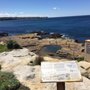 Photo of Ivor Rowe Rockpool